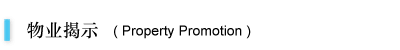 物业揭示（ Property Promotion ）